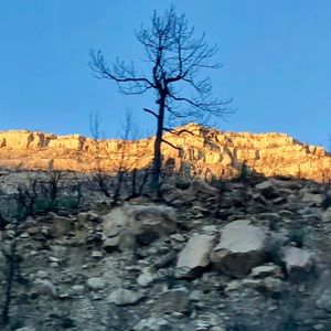 Meet your Posher, Miranda